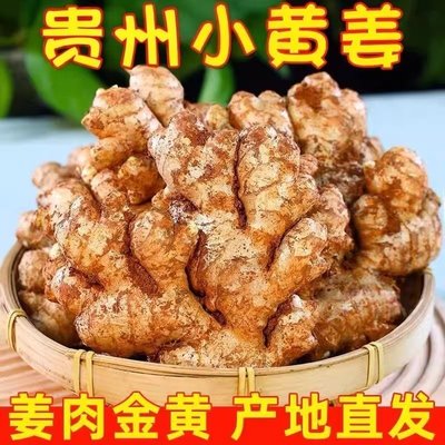 农场直购贵州山地小黄姜新鲜生姜现挖老姜带土新鲜辛辣十足小黄姜