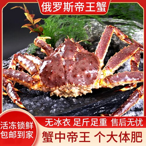 鲜活冻帝王蟹鲜活速冻俄罗斯进口