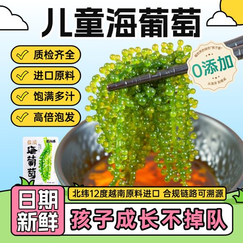 爱尚港旗舰品质  宝宝爱吃盐渍海葡萄水葡萄盐渍海葡萄