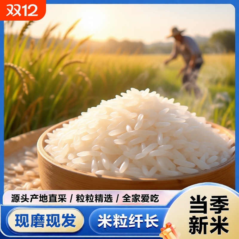 谷丰领长粒香大米250g