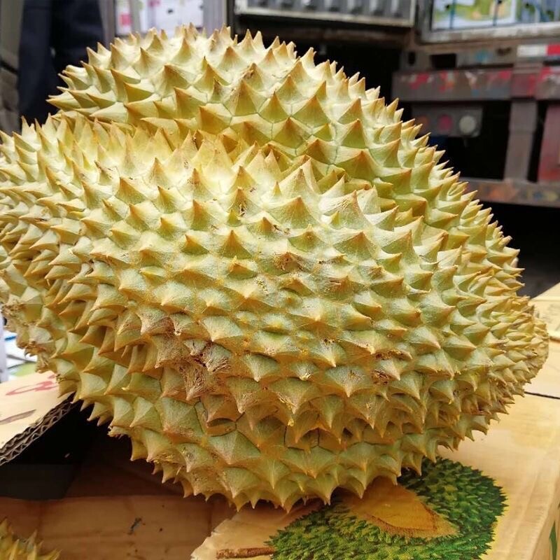 【正宗金枕】顺丰正宗泰国金枕头榴莲新鲜当季带壳整箱应季水果