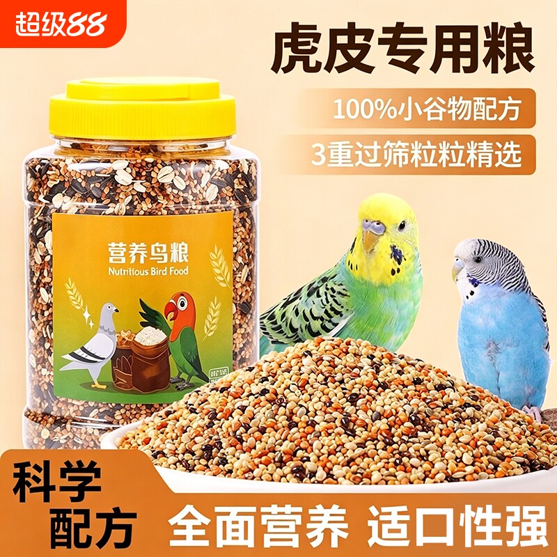 【鹦鹉都爱吃的粮食】天然五色黍图片
