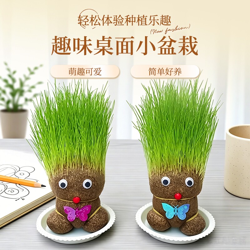 长草娃娃桌面小盆栽好养懒人植物图片