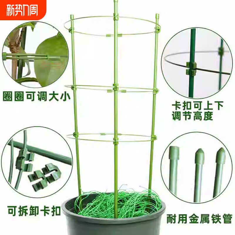 花架爬藤架子葡萄架支架杆蔬菜植物葡萄黄瓜西红柿种植架固定客厅