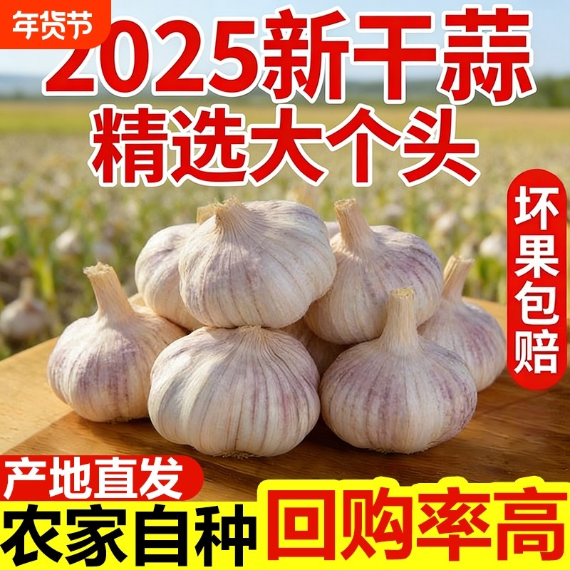 山东金乡大蒜头种籽干蒜种子5斤装紫皮2斤新鲜多瓣农家10斤,水产肉类/新鲜蔬果/熟食,大蒜,淘宝优惠券,粉丝福利购,淘宝优惠卷