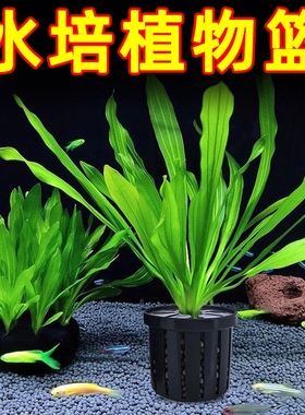 鱼缸水培植物篮家用水草种植水草泥沉底固定器种植造景装饰定植篮