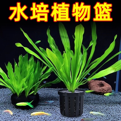 鱼缸水培植物篮家用水草种植水草泥沉底固定器种植造景装饰定植篮