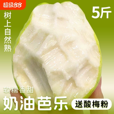 【产地直发】软糯香甜冰淇淋口感