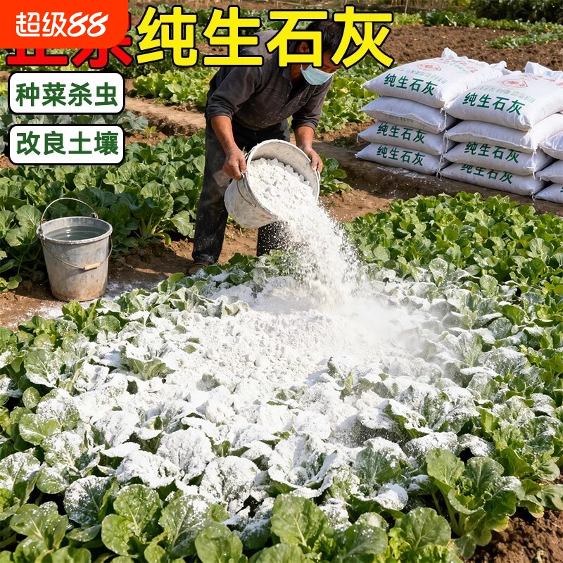 生石灰粉杀虫种菜消毒驱虫刷果树木改良土壤干燥剂稻壳杀菌草木灰