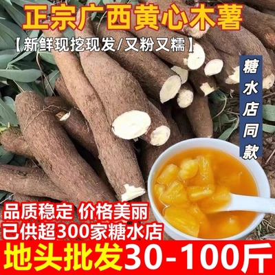 广西新鲜黄心木薯批发30-100斤