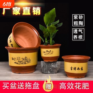 陶瓷花盆大号紫砂花盆陶土兰花盆家用粗陶特大号君子兰盆落地盆景