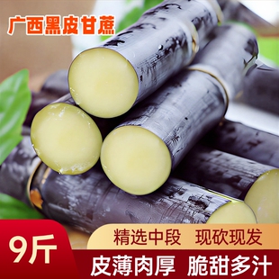 正宗广西黑皮甘蔗新鲜应季 9斤 水果皮包肉厚脆甜多汁现砍现发5斤