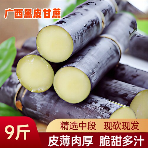 广西黑皮甘蔗现砍现发5斤9斤