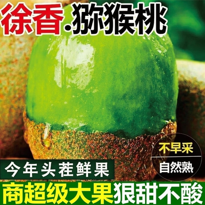正宗陕西周至徐香猕猴桃绿心奇异果孕妇应季水果现摘现发整箱包邮