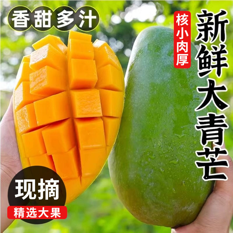 越南大青芒果青皮金煌芒新鲜水果当季大芒果个大肉厚甜润多汁