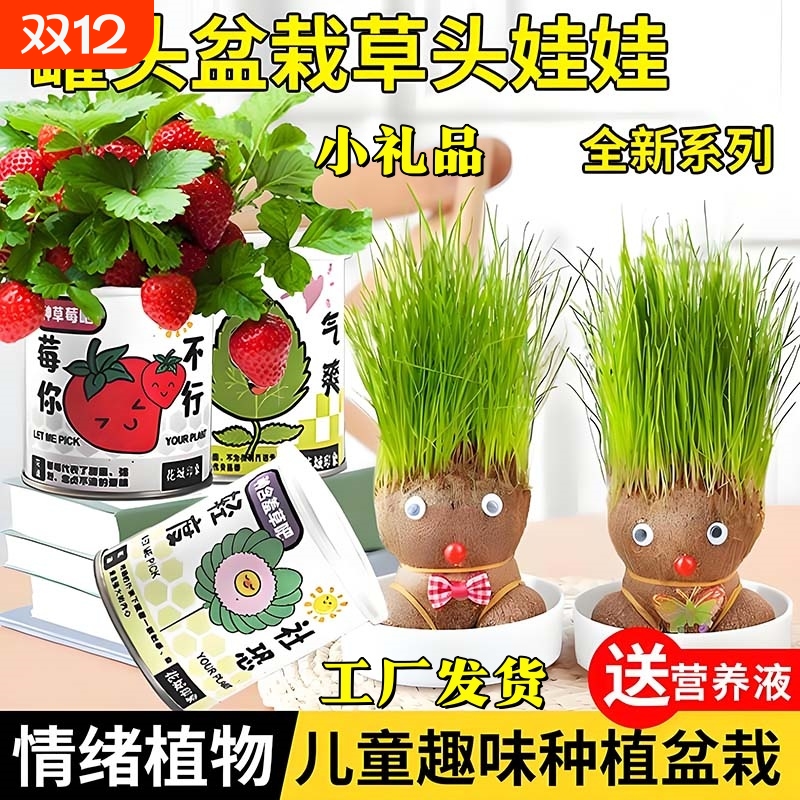 长草娃娃创意室内趣味小盆栽