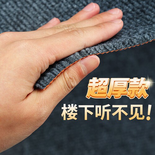 纯色隔音地毯满铺家用可裁剪