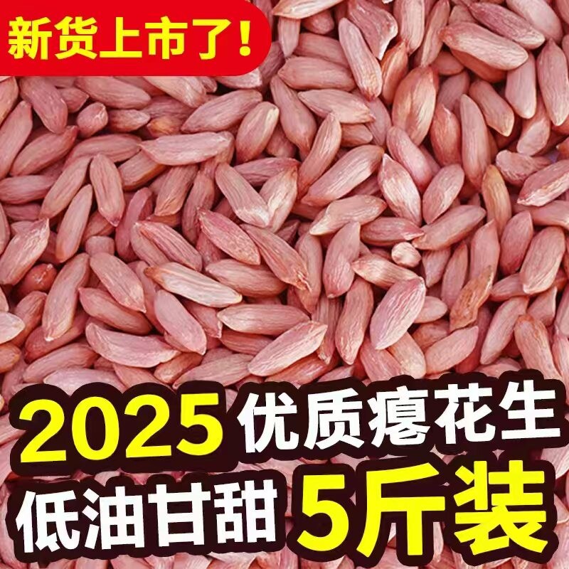 2025山东瘪花生今年新货花生米生小粒花生仁甘甜零食批发瘪子花生
