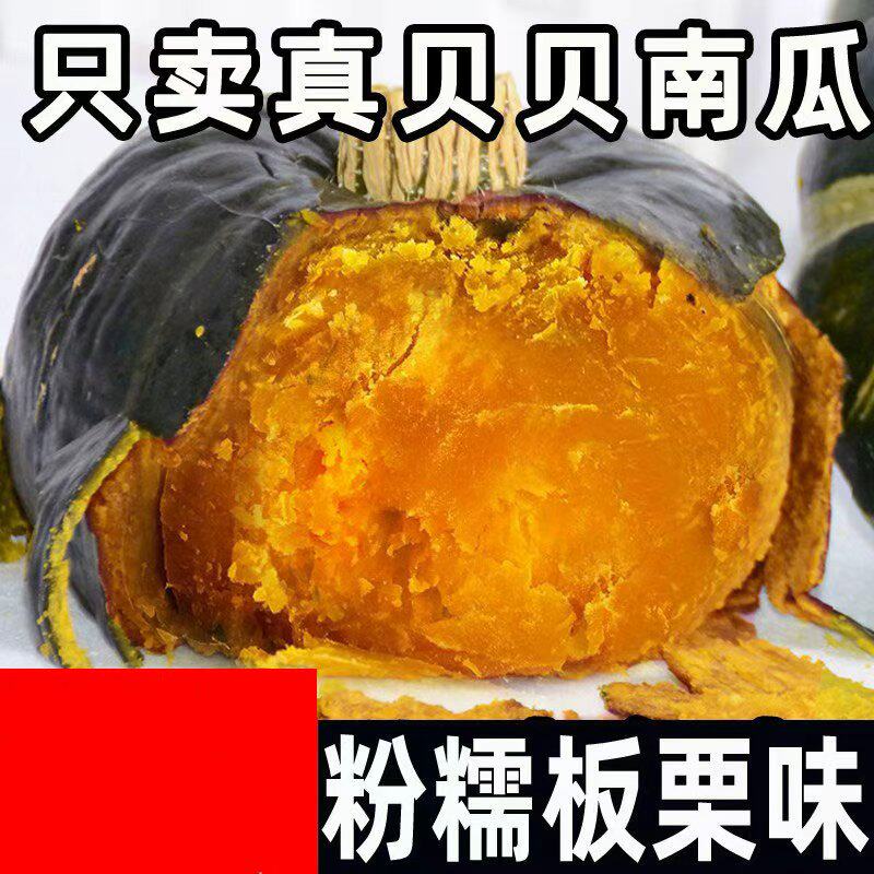 贝贝南瓜正宗板栗味老南瓜新鲜栗子面小南瓜婴儿甜粉糯回购生鲜