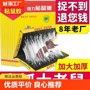 粘鼠板强力粘鼠标超强老鼠贴新款 加厚全自动家用强力胶抓杀大老鼠