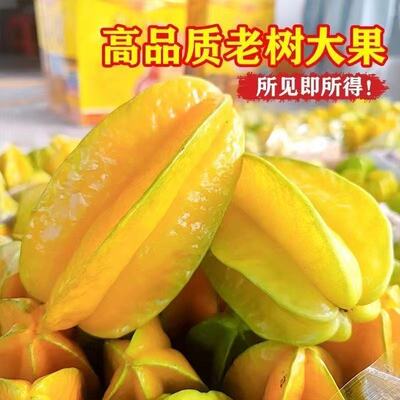 【自家】正宗杨桃大果福建下河应季杨桃新鲜现摘包邮孕妇新鲜批发