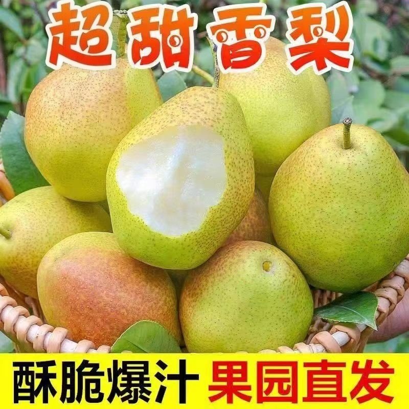 新鲜红香酥梨香酥梨肉薄酥梨薄皮小金梨孕妇可使用9斤产地直发,水产肉类/新鲜蔬果/熟食,梨,淘宝优惠券,粉丝福利购,淘宝优惠卷