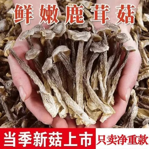 鹿茸菇干货鹿茸菌商用香菇煲汤炒菜批发新鲜蘑菇健康美味食材火锅