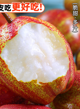新鲜采摘脆嫩多汁陕西彩虹梨！