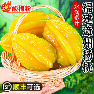 福建漳州甜杨桃新鲜水果树上熟高级水果五角星阳桃整箱 包邮