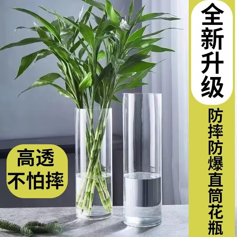 亚克力玻璃花瓶水养水培插花富贵竹透明直筒鲜花装饰客厅小落地图片