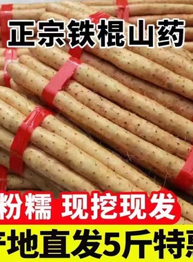 铁棍山药新鲜淮山药铁杆山药小白嘴现挖山药5斤非温县垆土怀山药
