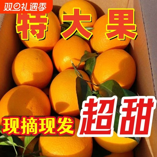 赣南脐橙5斤装爆甜汁多香甜