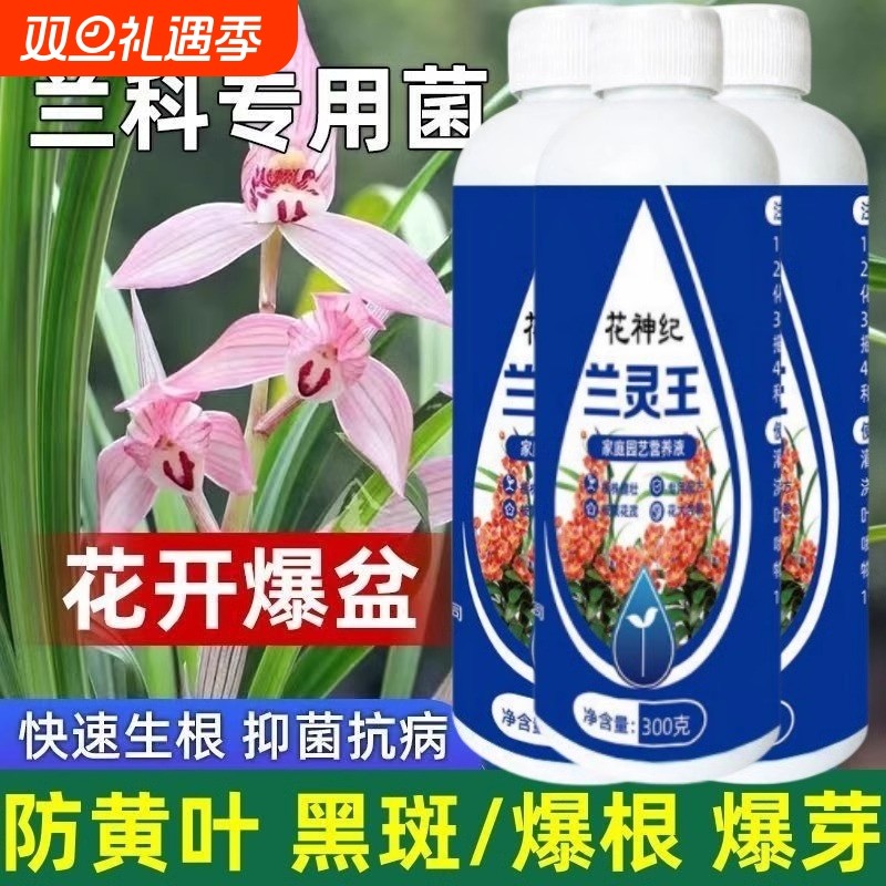 兰灵王兰花专用肥蝴蝶兰君子兰肥料兰科专用菌兰花营养液黄叶克星