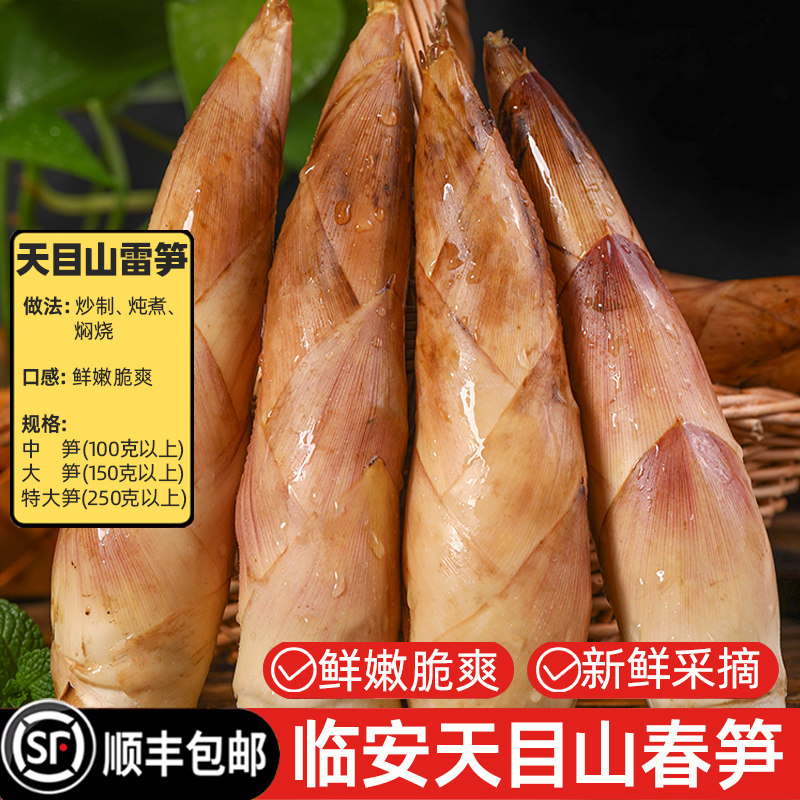 【顺丰包邮】临安天目山雷笋新鲜现挖野生带壳春笋黄泥笋蔬菜竹笋
