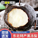 包邮 正宗东北冻梨大黑梨烤梨子当季 整箱水果苹果梨花盖冻秋梨顺丰