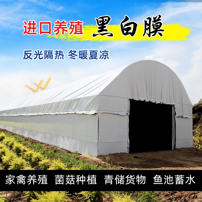 黑白膜养殖防晒加厚大棚专用膜食用菌种植家禽养殖反光隔热遮光膜