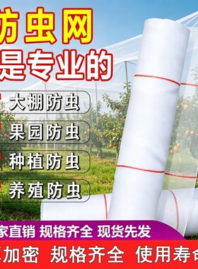 防虫网农用蔬菜大棚加厚防虫纱网