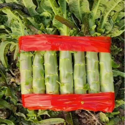 每天新鲜采摘，每棵一斤左右