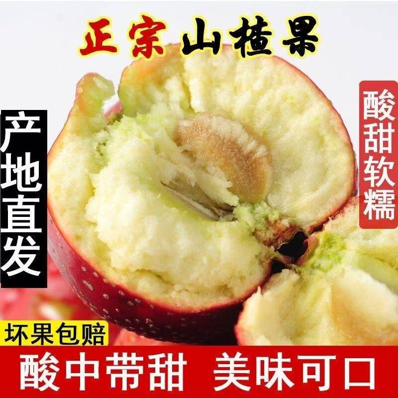 山楂大果大金星歪把棉球新鲜糖葫芦用山楂果当季现货整箱批发价