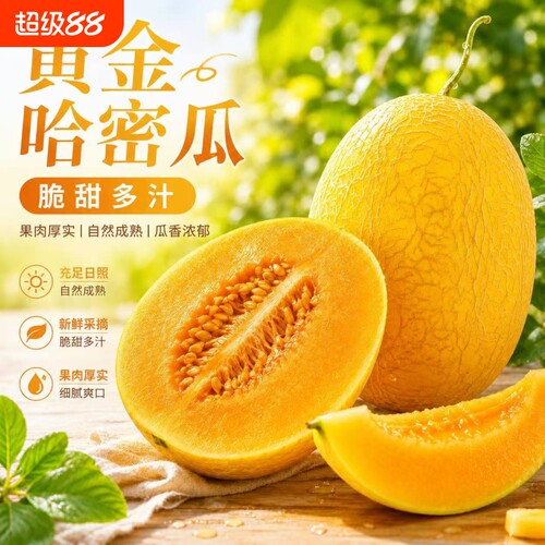 正宗新疆黄金哈密瓜金色年华