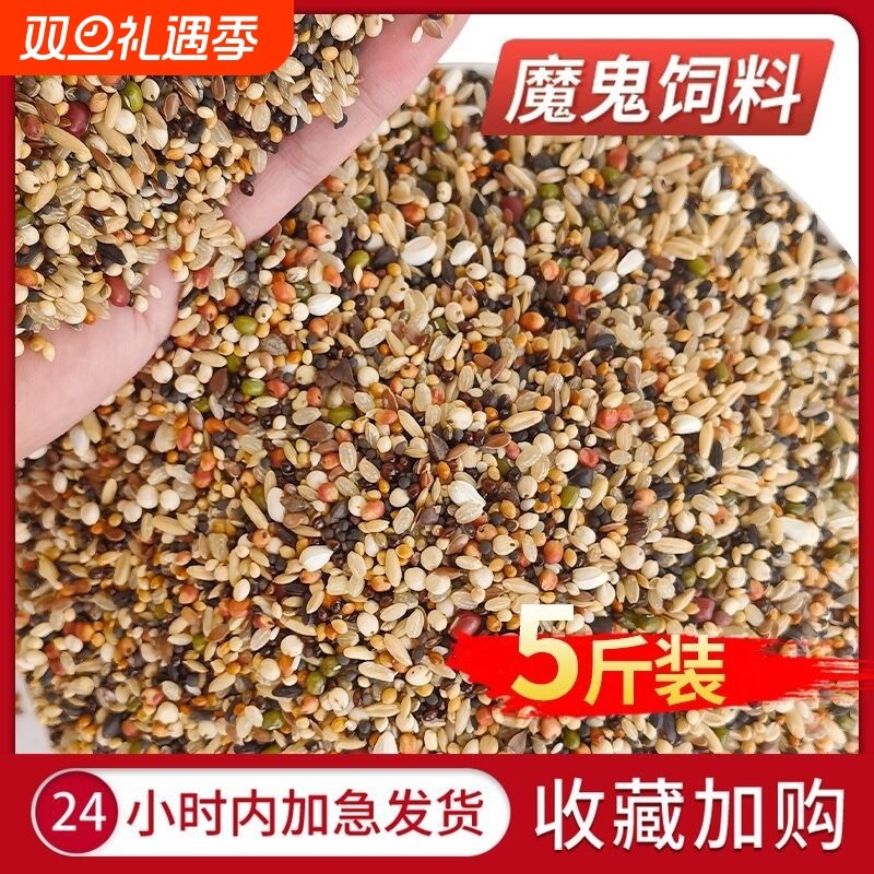 魔鬼饲料鸽粮无玉米小颗粒鸽子食粮营养斑鸠信鸽专用5斤混合五色
