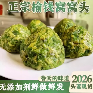 榆钱窝窝头2026新鲜馒头槐花菜团子地瓜叶野菜馍馍粗粮早餐