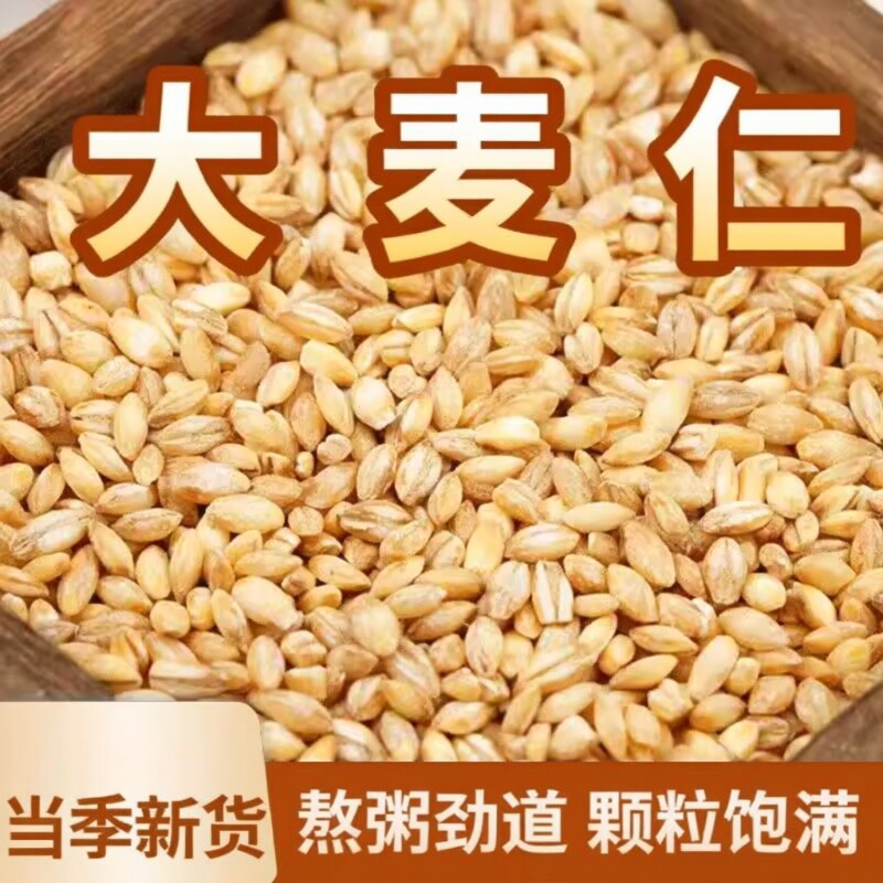 麦仁去皮农家新小麦大麦仁米煮粥食用麦子粒新鲜优质胚芽种子批发