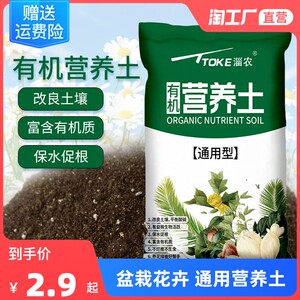营养土里有虫价格 营养土里有虫图片 星期三