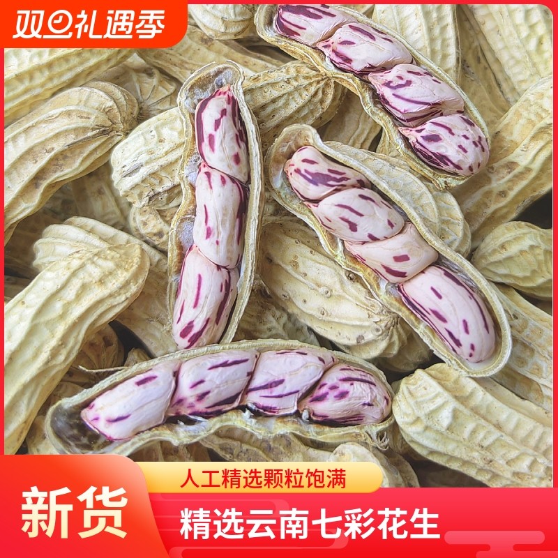 2025新货云南七彩花生五彩晒干带壳熟水煮咸干花生米新鲜健康特色