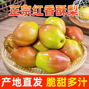 【年货】红香酥梨当季梨子新鲜水果香梨山西时令脆甜雪梨整箱包邮