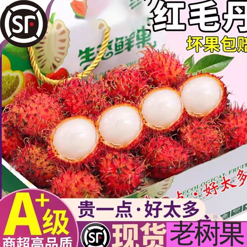 新鲜正宗越南红毛丹顺丰京东包邮