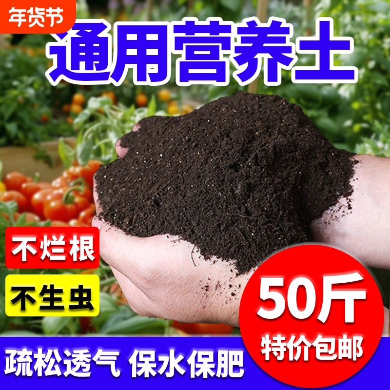 营养土养花专用多肉土通用型肥料种菜泥土种花土壤家用种植土花土,鲜花速递/花卉仿真/绿植园艺,家庭园艺肥料,淘宝优惠券,粉丝福利购,淘宝优惠卷