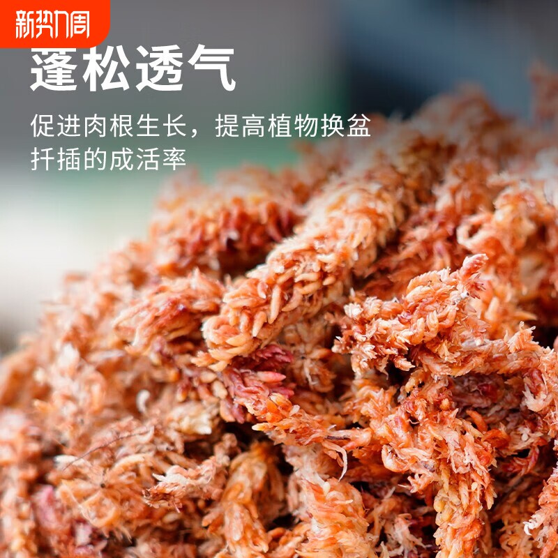 毛毛虫水苔干水苔蝴蝶兰专用智利进口苔藓乌龟造景土兰花专用植料