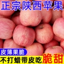 包邮 红富士苹果水果正宗陕西新鲜脆甜应当季 丑萍果整箱5冰糖心斤